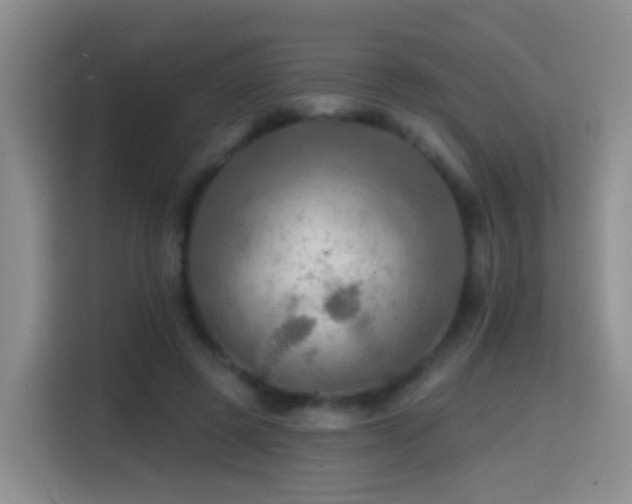 X0000114610545200910201154