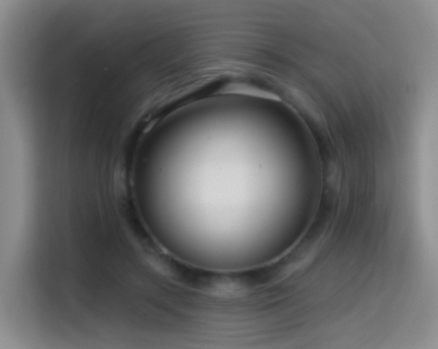 X0000114610547200910201154