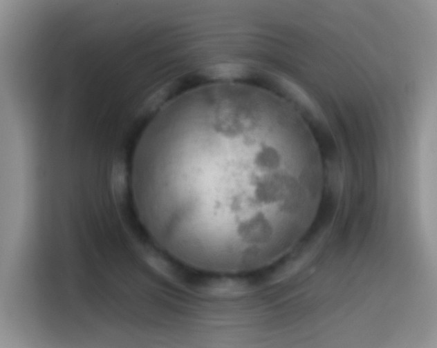 X0000114610549200910201154