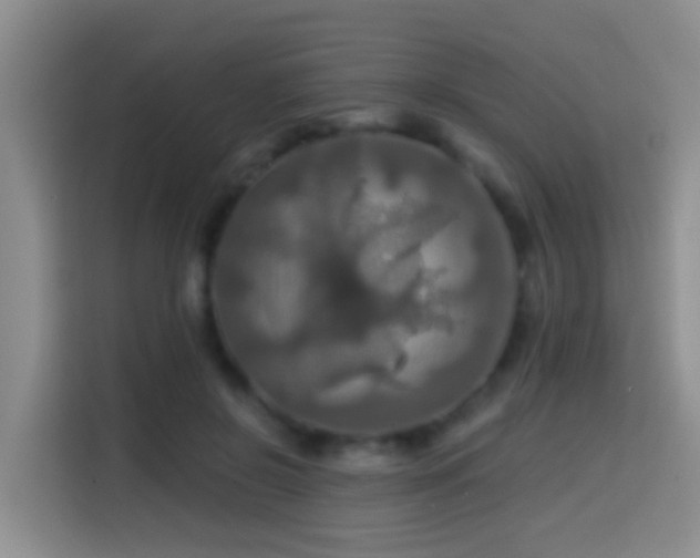 X0000114610550200910201154