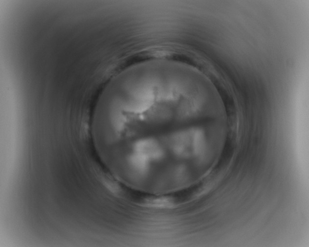 X0000114610553200910201154