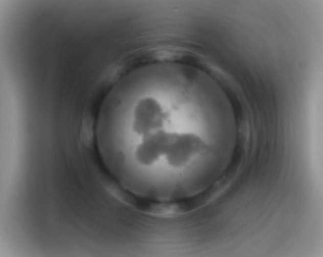 X0000114610554200910201155