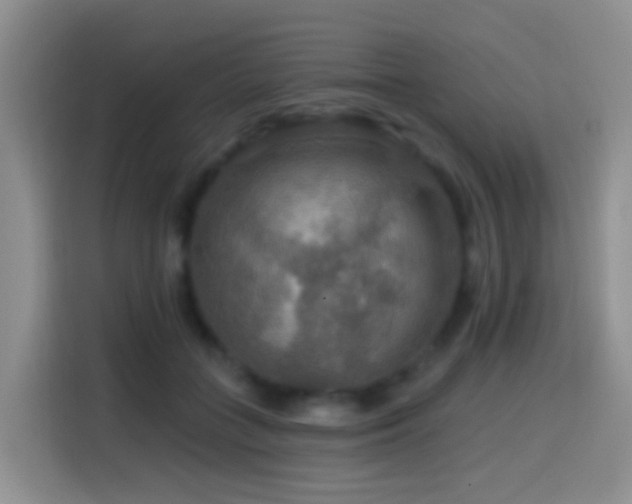 X0000114610555200910201155