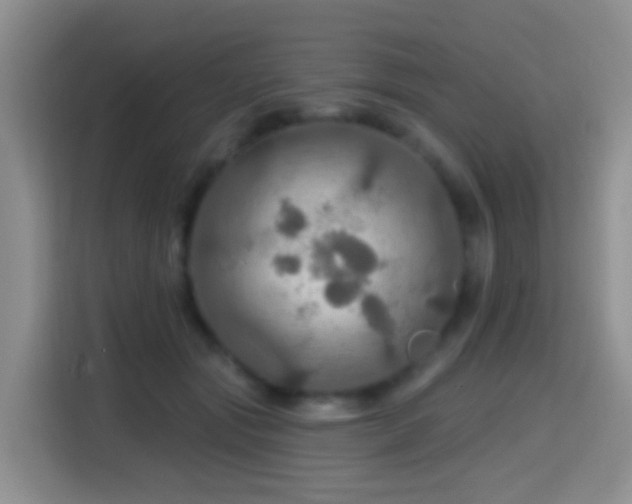 X0000114610557200910201155