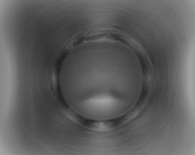 X0000114610558200910201155