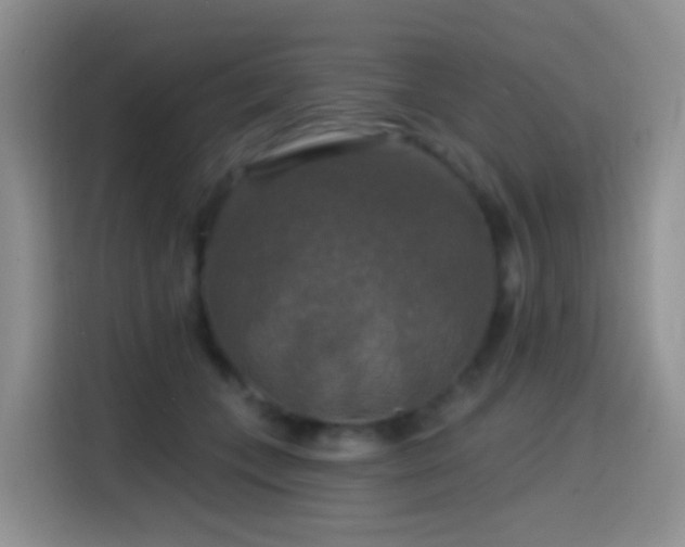 X0000114610559200910201155