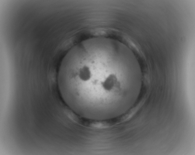 X0000114610561200910201155