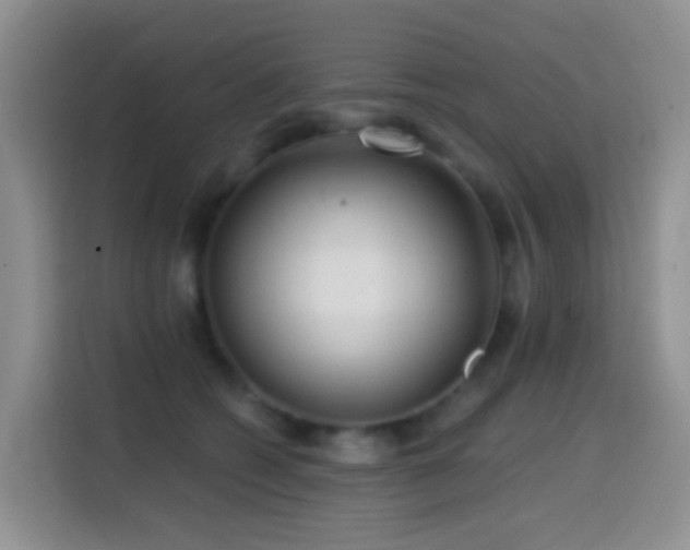 X0000114610562200910201155