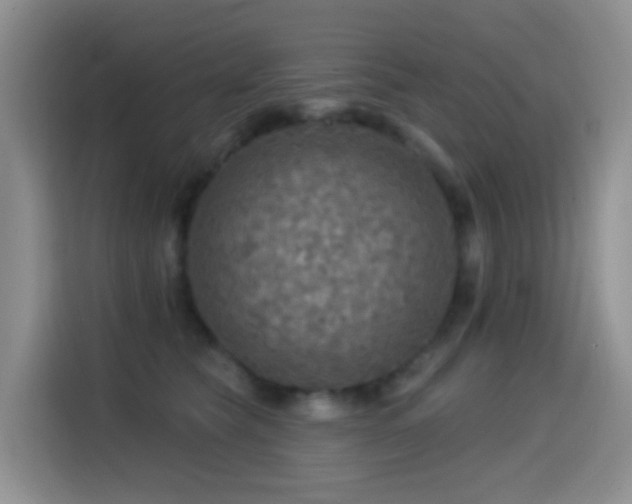 X0000114610565200910201155