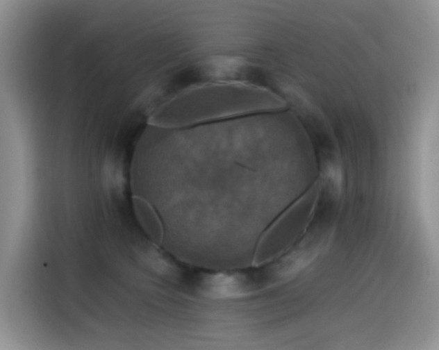 X0000114610566200910201155