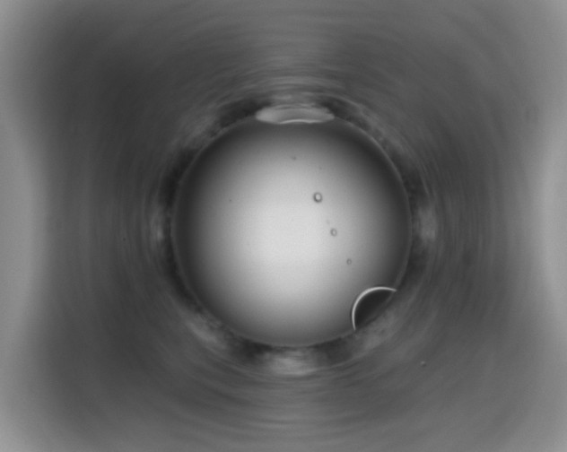 X0000114610567200910201155