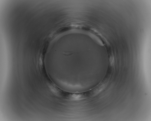 X0000114610570200910201155