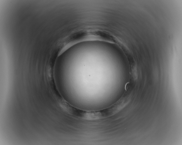 X0000114610571200910201155