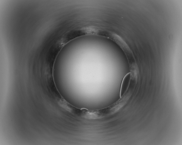 X0000114610573200910201155