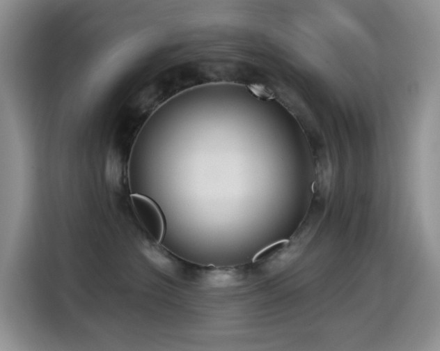 X0000114610574200910201155