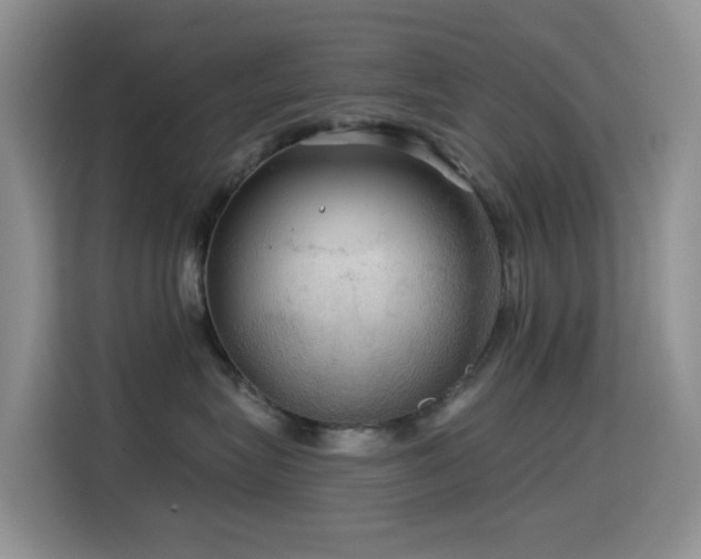 X0000114610575200910201155