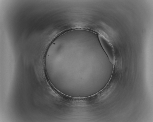 X0000114610577200910201154