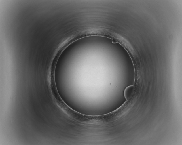 X0000114610578200910201154