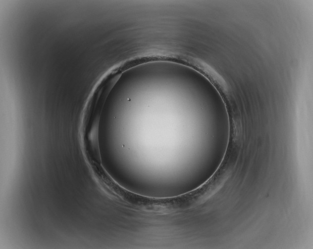 X0000114610580200910201154