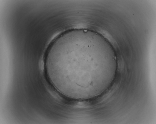 X0000114610584200910201154