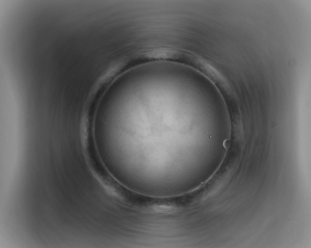 X0000114610586200910201154