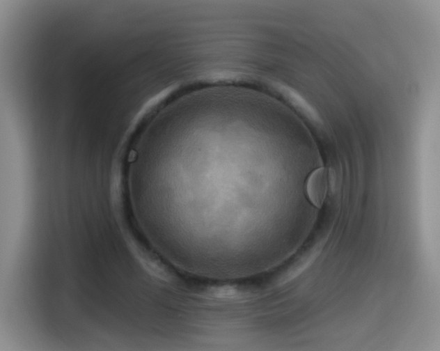 X0000114610588200910201154