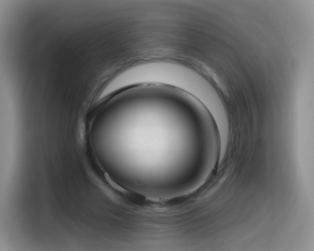 X0000114610589200910201154