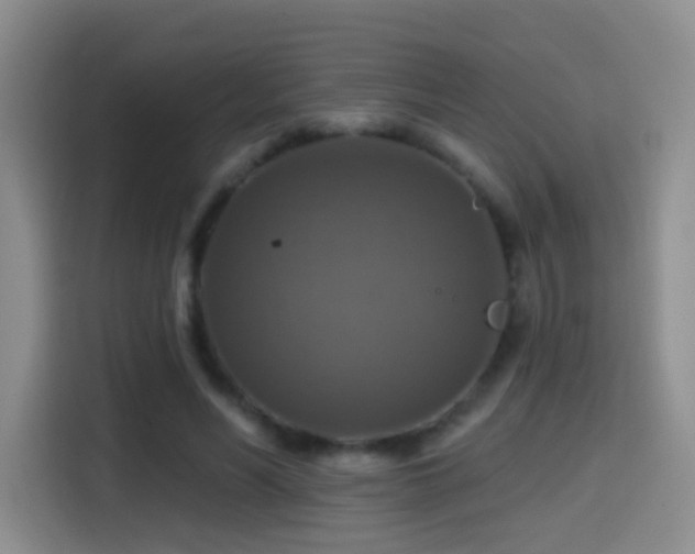 X0000114610590200910201154