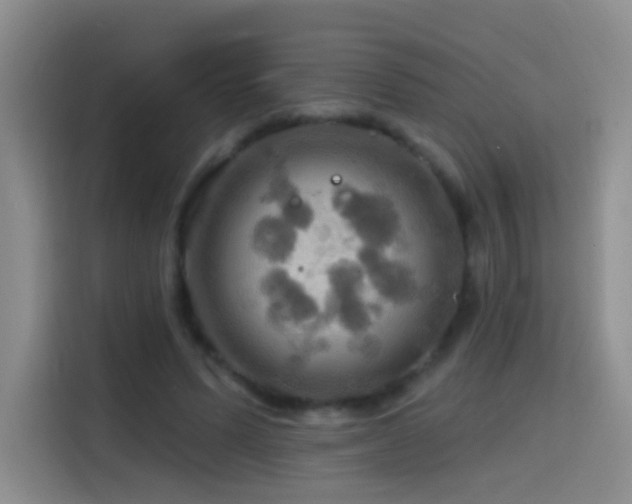 X0000114610591200910201154