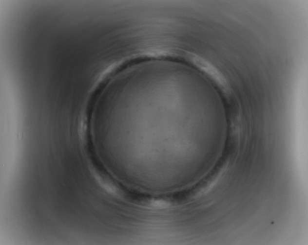 X0000114610592200910201154