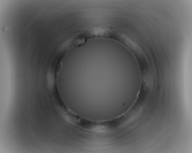 X0000114610593200910201154