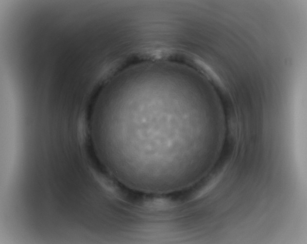 X0000114610594200910201154