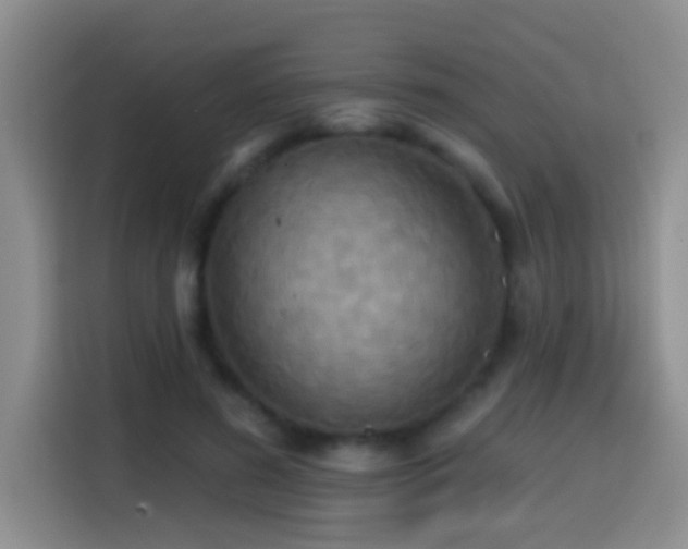 X0000114610596200910201154