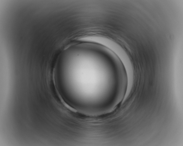 X0000114610597200910201154