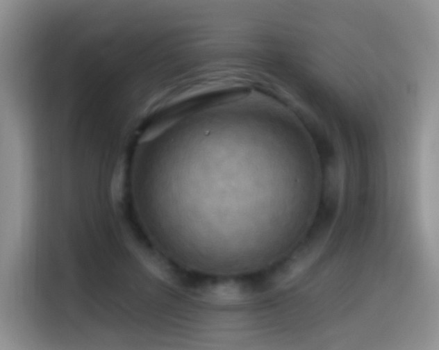 X0000114610600200910201154