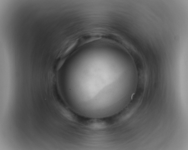 X0000114610601200910201154