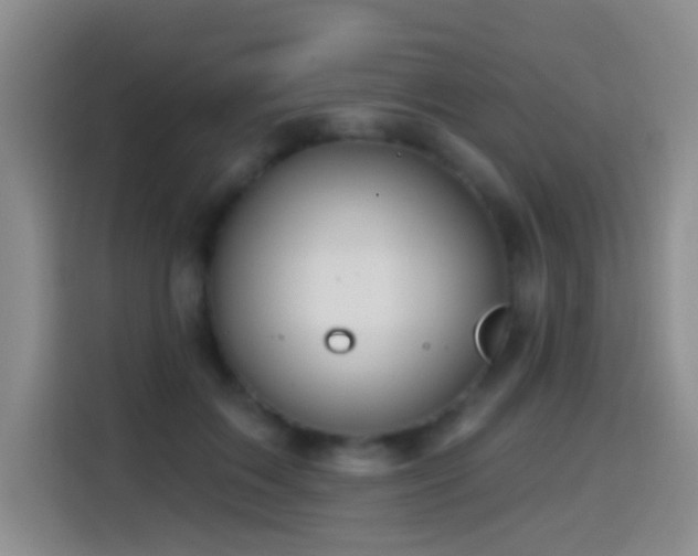 X0000114610603200910201154