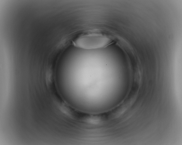 X0000114610604200910201154