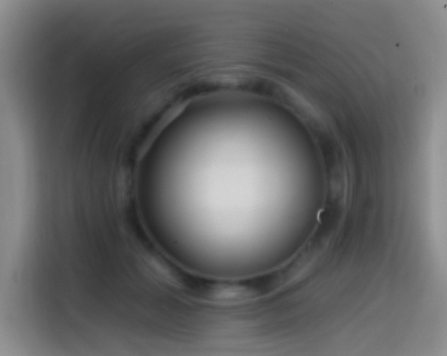 X0000114610605200910201154