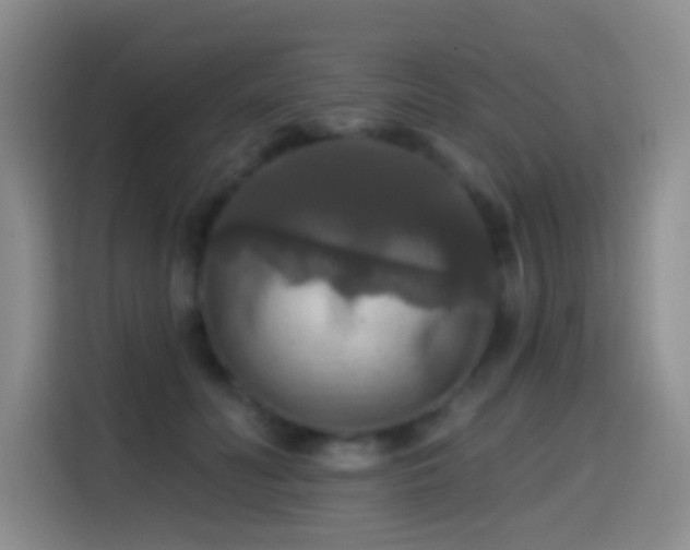 X0000114610606200910201154