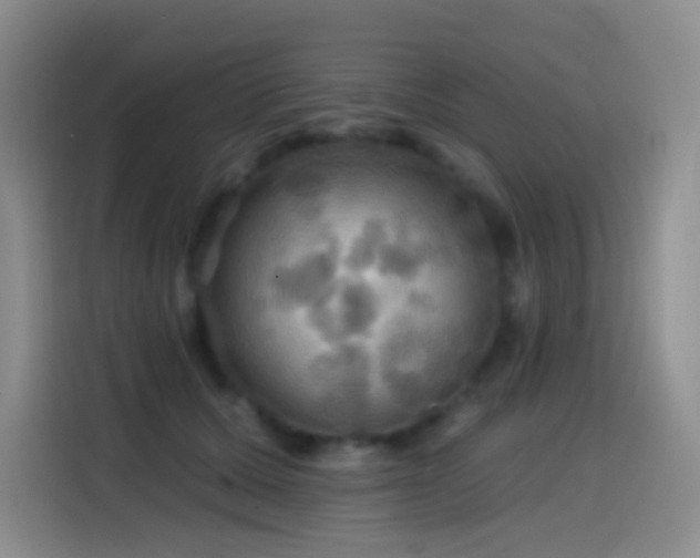 X0000114610607200910201154