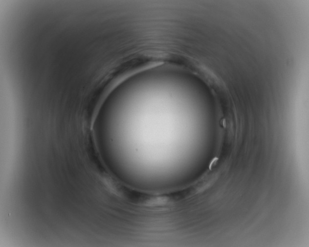 X0000114610609200910201154