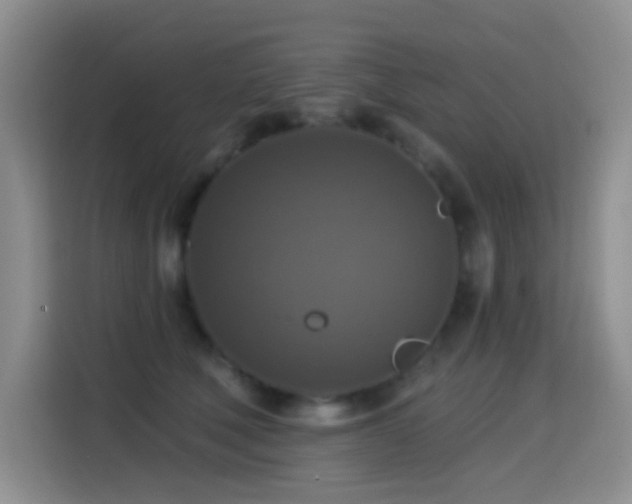 X0000114610610200910201154