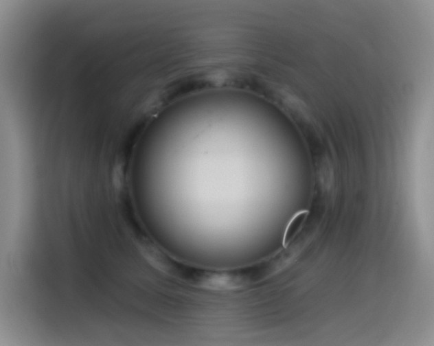 X0000114610611200910201154