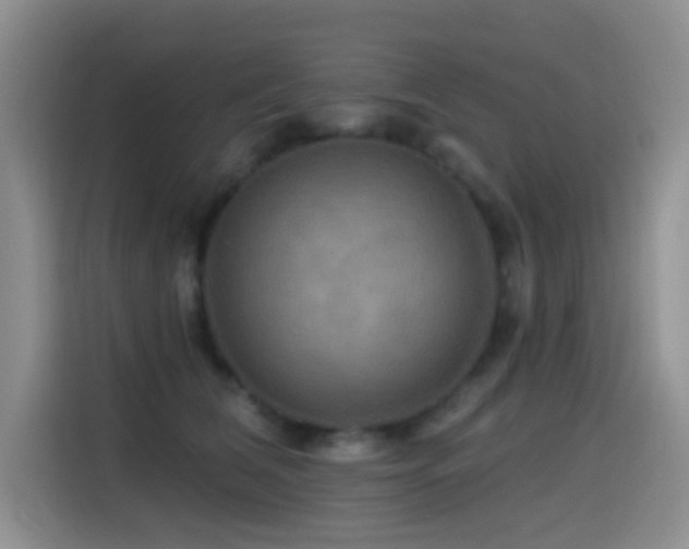 X0000114610612200910201154