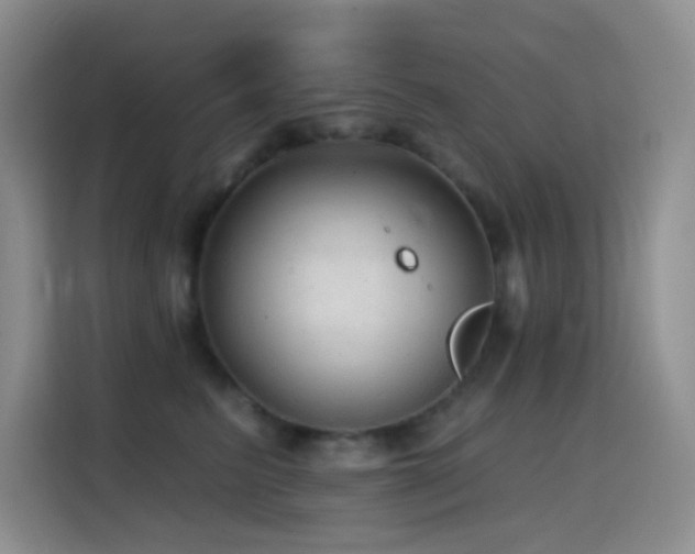 X0000114610615200910201154