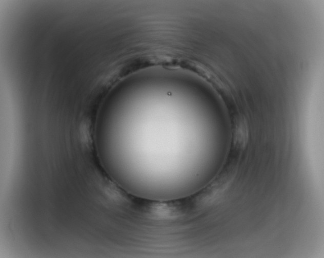 X0000114610616200910201154