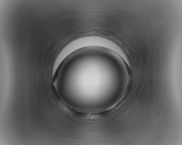 X0000114610617200910201154