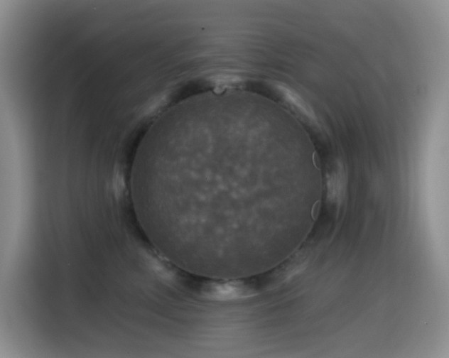 X0000114610618200910201154