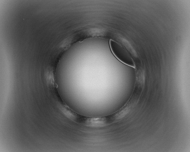 X0000114610622200910201154